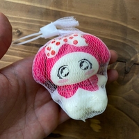  عکس1 اسکوئیشی